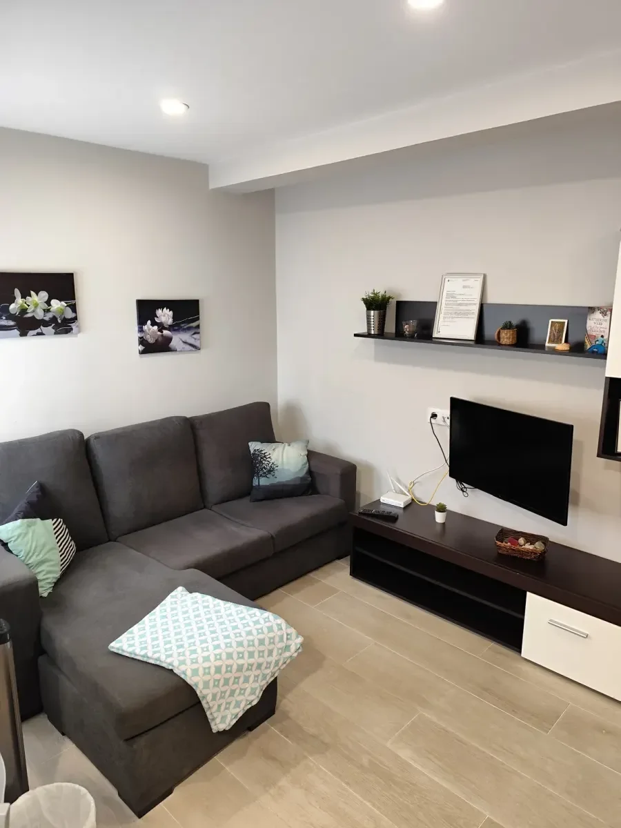 Salón del apartamento Terra de Augas II en Caldas de Reis, con sofá, televisión y estanterías