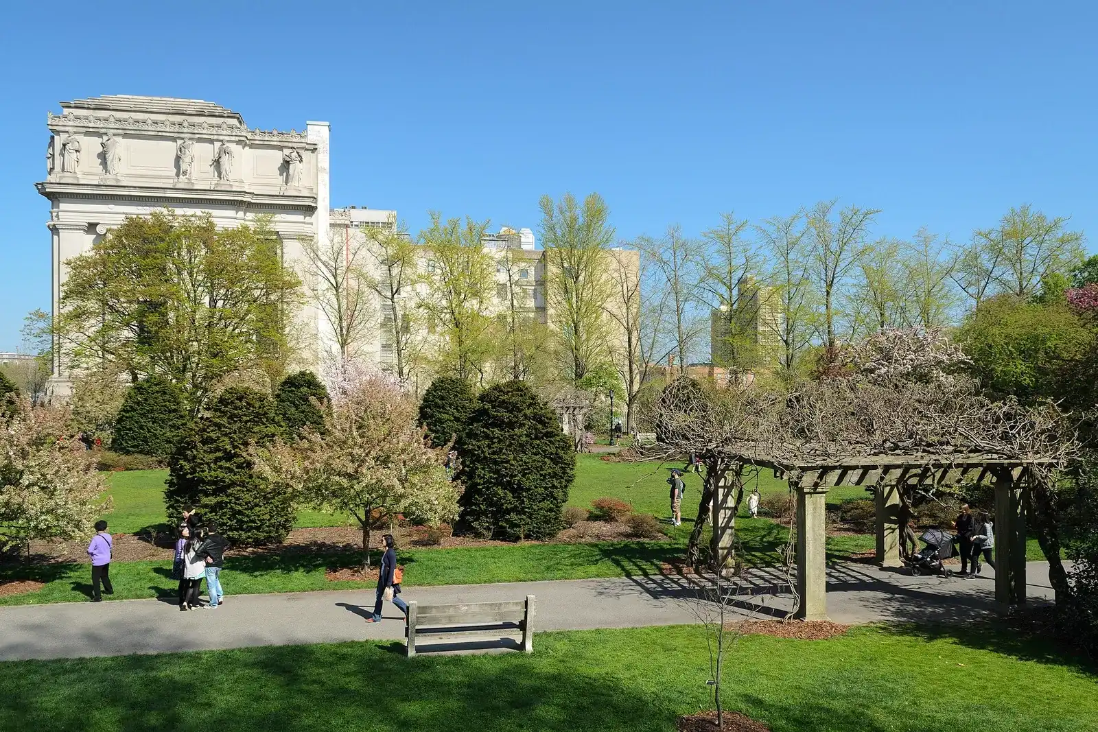 Árboles en flor y césped en el Jardín Botánico de Brooklyn en primavera