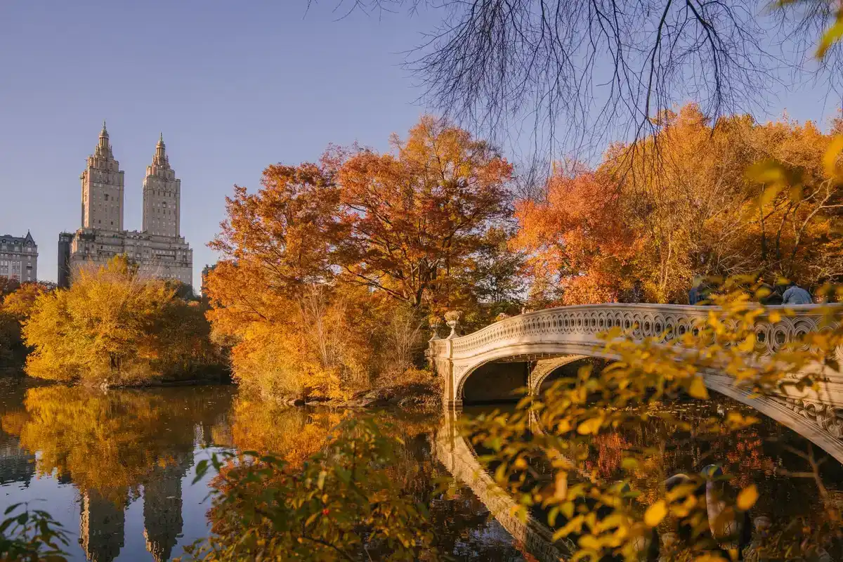 Bow Bridge in Central Park surrounded by autumn trees