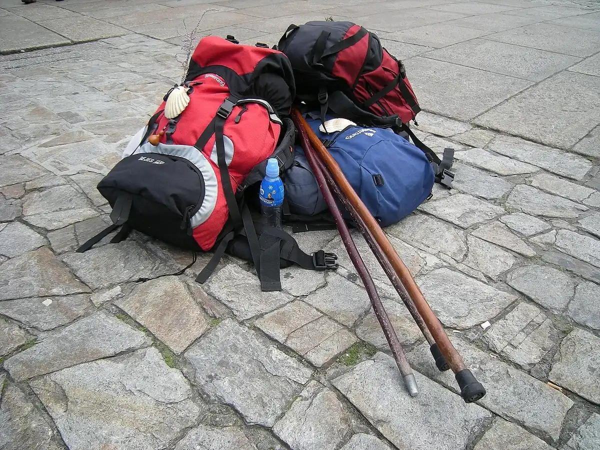 Tres mochilas de peregrino con conchas colgadas y dos bastones de madera sobre el suelo de la Plaza del Obradoiro