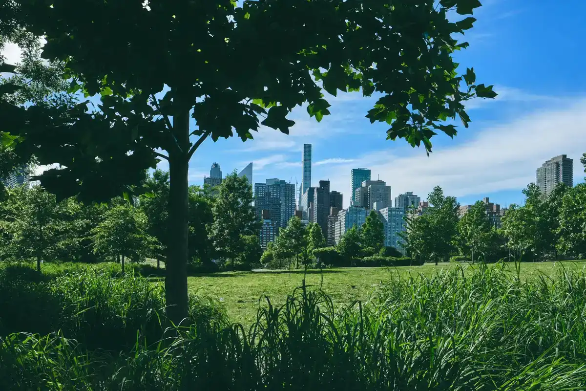 Un parque verde de Nueva York con los rascacielos al fondo en verano