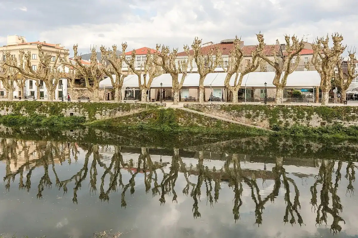 El paseo del Espolón de Padrón junto al río Sar, con su hilera de plátanos reflejada en el agua