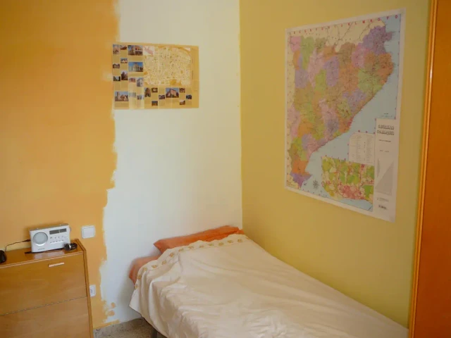 Mijn kamer (status: opgeruimd)