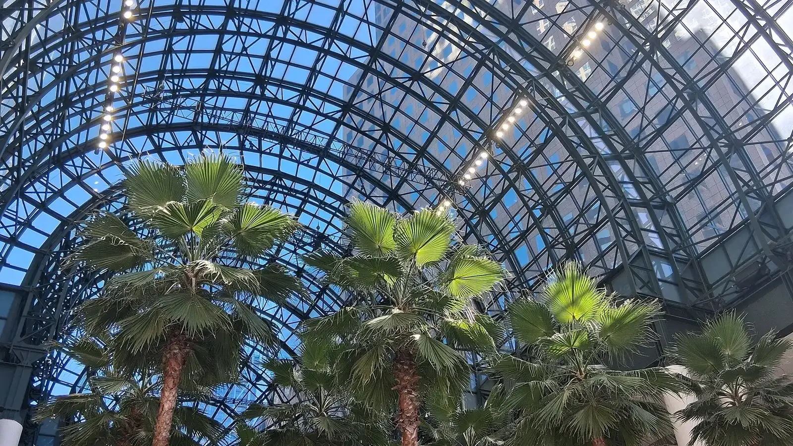 Las palmeras bajo la cúpula de cristal del Winter Garden de Brookfield Place, el edificio de Hudson Eats