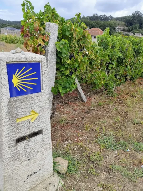 Wegwijzer van de Camino de Santiago