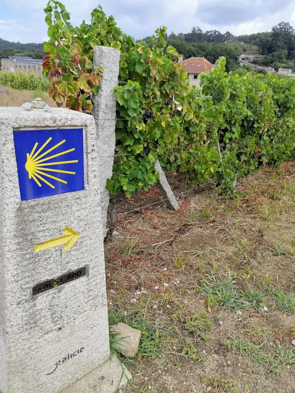 Señal del Camino de Santiago