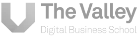 The Valley Business School